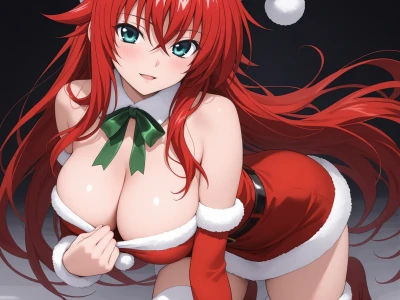 Rias Gremory christmas miniset Dxd 162P Sex by langust022